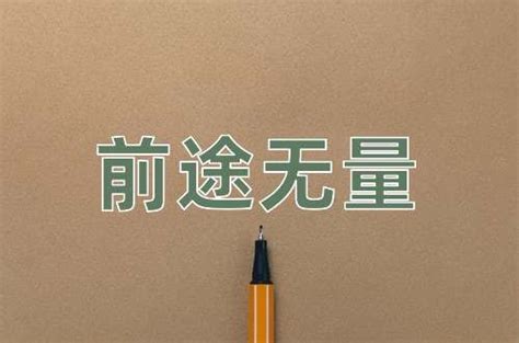 前途無量意思|前途无量